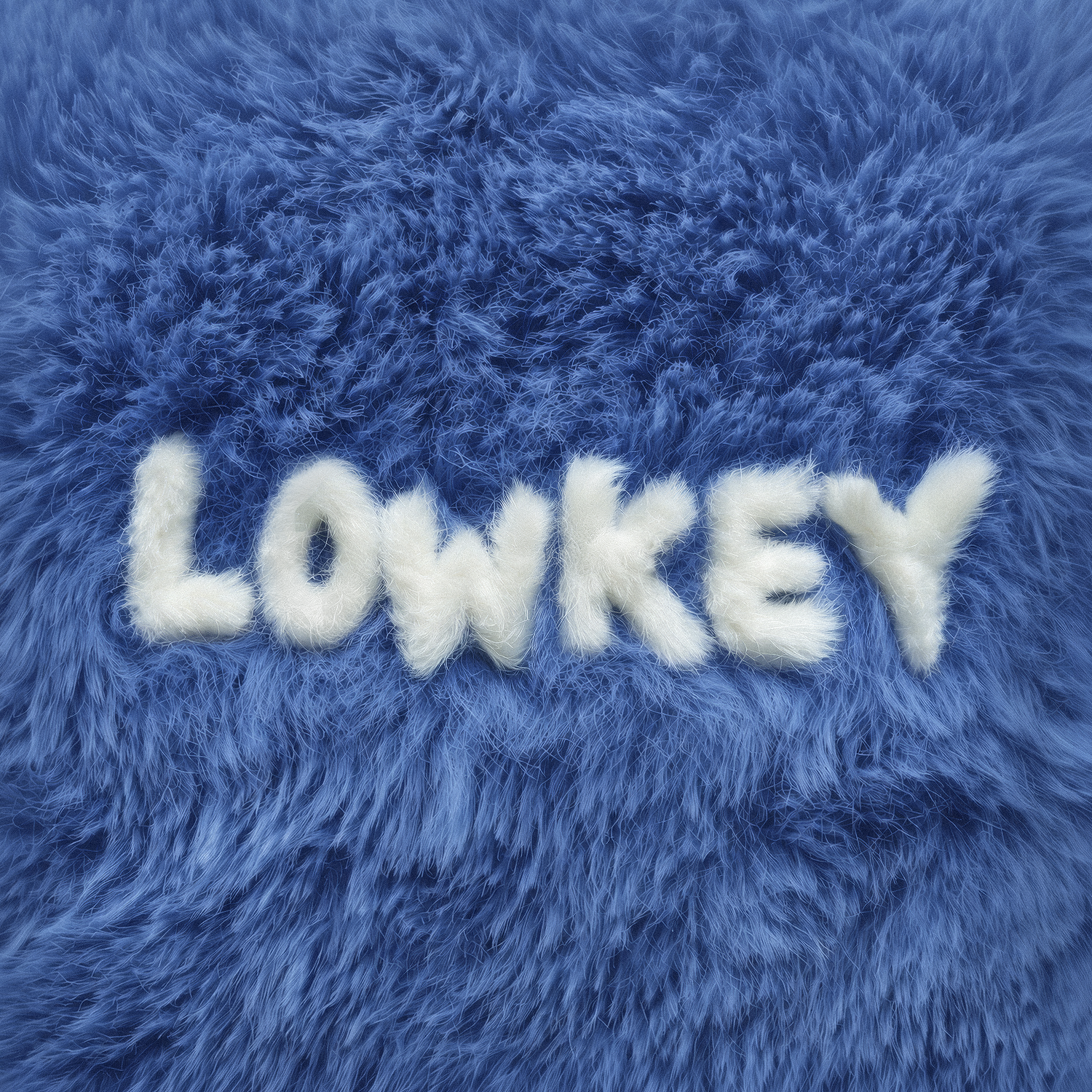 LONKEY album cover
